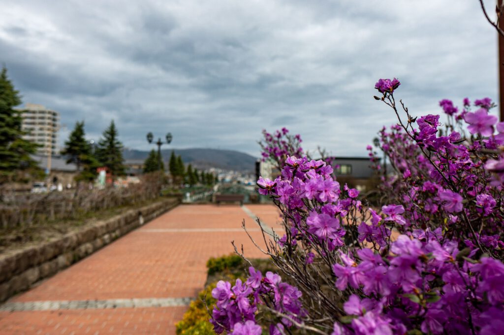 Kanal Otaru