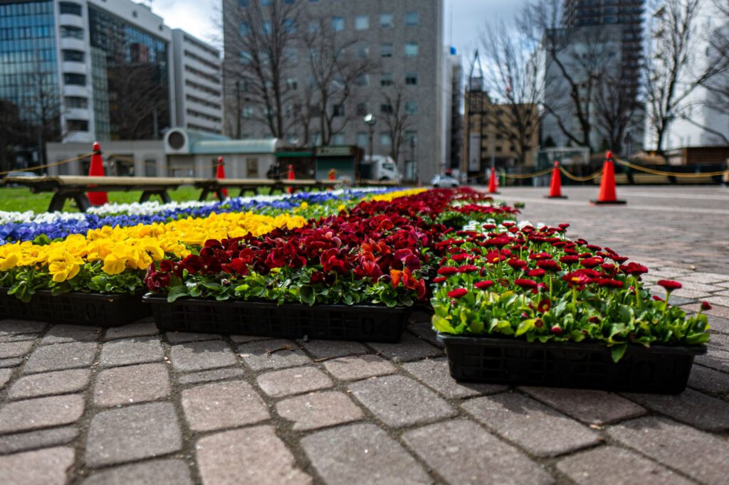 Blumen