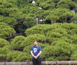 300 Years Pine