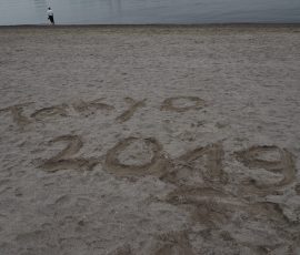 Odaiba Beach
