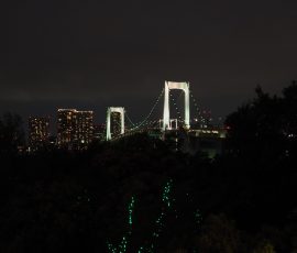 Rainbow Brigde