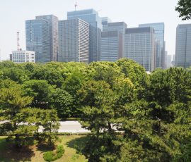 Shinjuku Goen